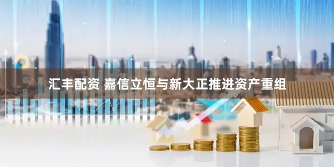 汇丰配资 嘉信立恒与新大正推进资产重组