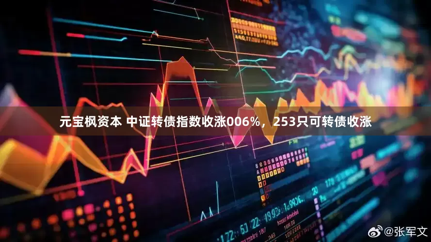 元宝枫资本 中证转债指数收涨006%，253只可转债收涨